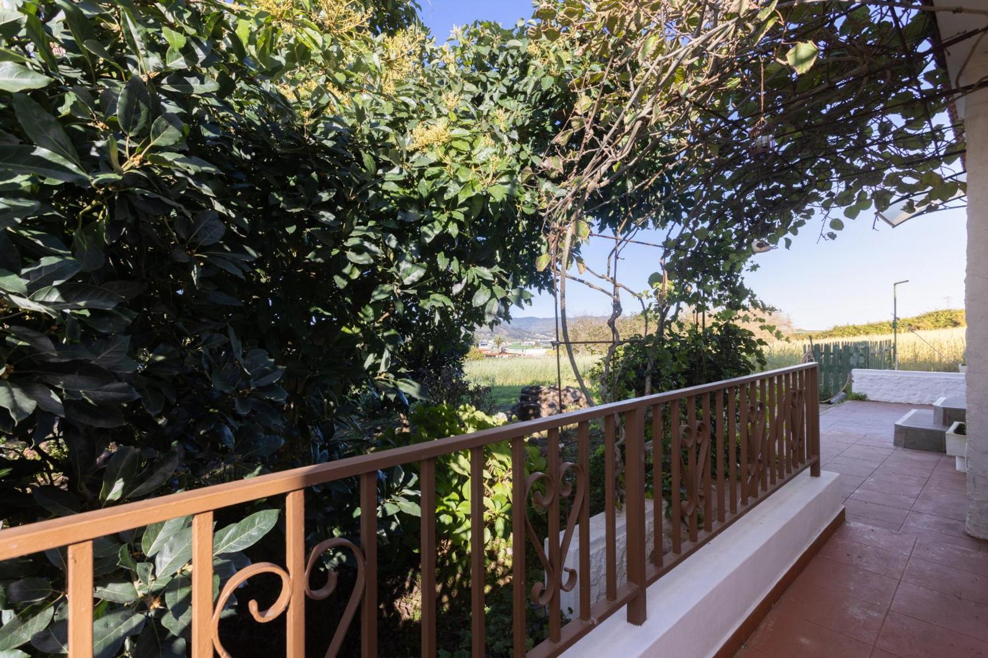 Lightbooking Casa De Campo Ortigal Tenerife La Esperanza  Eksteriør billede